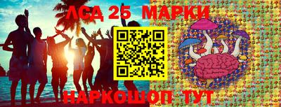 apvp Заволжье