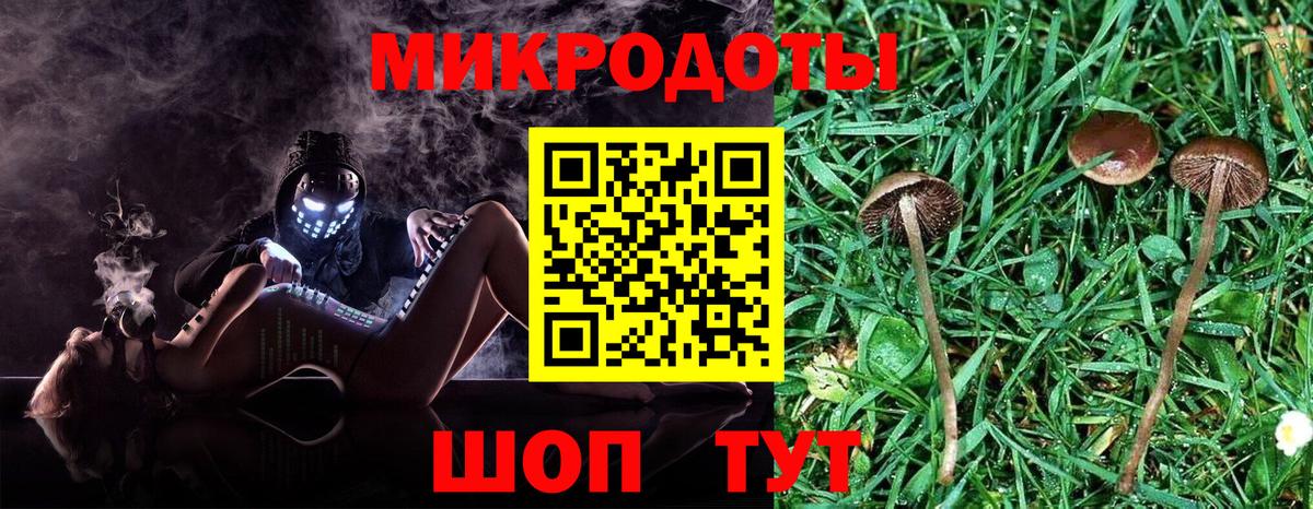Псилоцибиновые грибы MAGIC MUSHROOMS  Вход с VPN  Кулебаки 